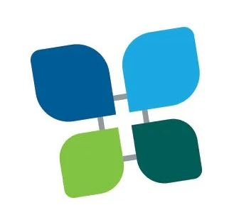 Director HR Shared Services Performance and Analytics