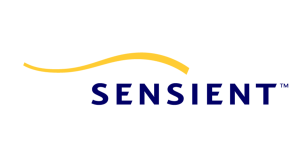 Global Director Finance – Shared Services