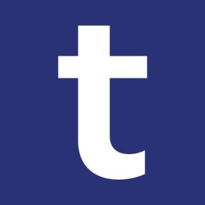 Finance Manager (Business Controls)