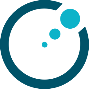 Director People Shared Service Center