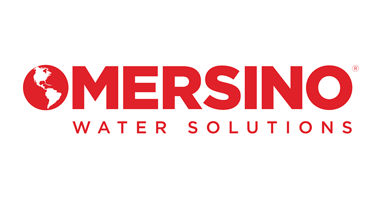 Shared Services Director