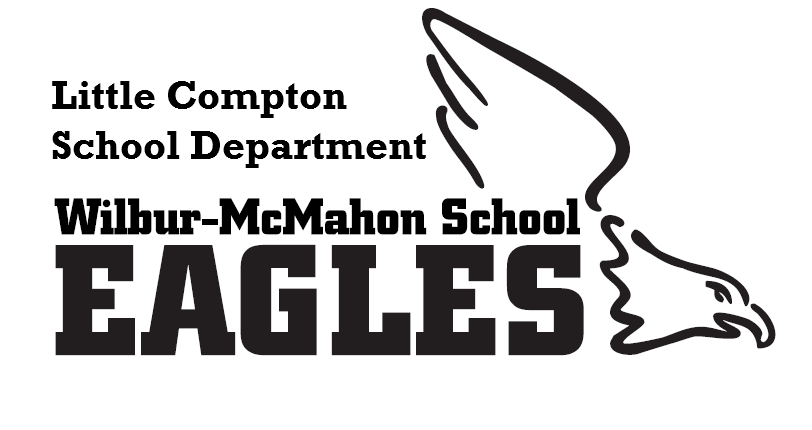 Information Technology (IT) Director