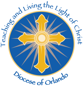 Finance Director of Shared Accounting Services