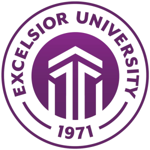 Sr Director- IT Merger and Acquisition Integration