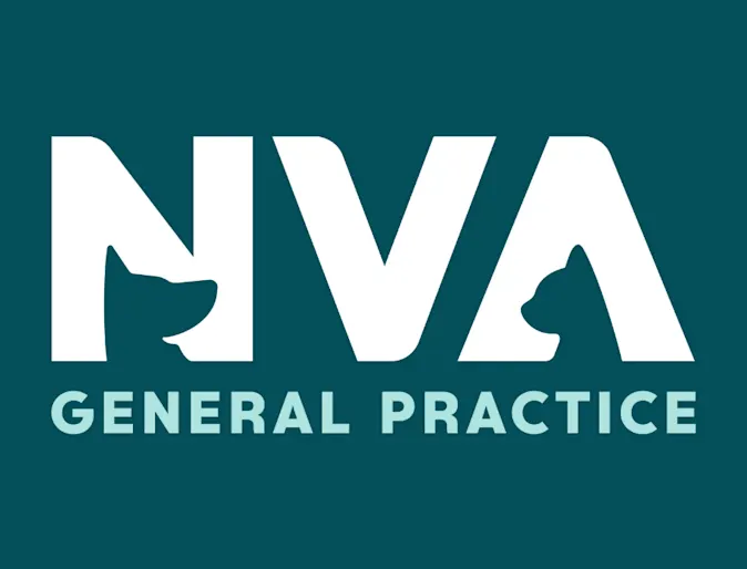 Director of People, Corporate Shared Services