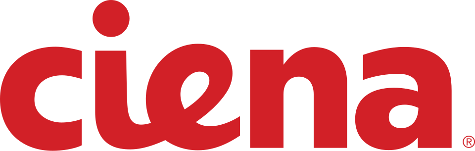 Director, Digital and Process Transformation