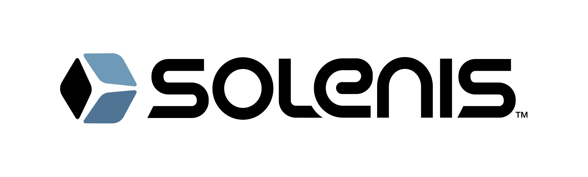 Program & Transformation Lead